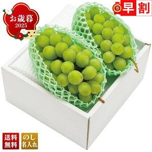 Ε Ε  ~Mtg AΕ Mtg v[g  Mtg 2025 R`Y VC}XJbg uB15-7v t[c ʕ R`Y VC}XJbg