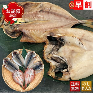 Ε Ε  ~Mtg AΕ Mtg v[g  Mtg 2025 Y VR̂ǂƐ^̊J uB4-9v CN V[t[h  Y VR̂ǂ ^̊J 