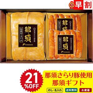 21OFF Ε Ε  ~Mtg AΕ Mtg v[g  Mtg 2025 ߐ{؎gp ߐ{Mtg uB9-1v  Hi ߐ{؎gp ߐ{ [Xn т