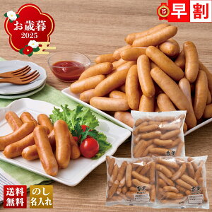 Ε Ε  ~Mtg AΕ Mtg v[g  Mtg 2025 v}n Oт|[NEBi[ uBAW-FF500v  Hi n v}n uhn