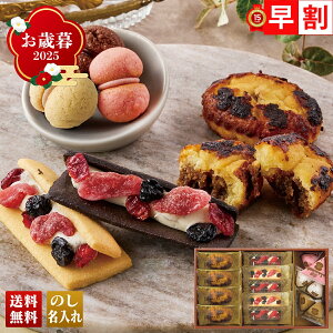 Ε Ε  ~Mtg AΕ Mtg v[g  Mtg 2025 uV[L[uvtb^A\[g uCASFR-25v XC[c mَq ĉَq X V[L[u ĂeB~X