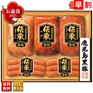 Ε Ε  ~Mtg AΕ Mtg v[g  Mtg 2025 ɓn ` ؃Mtg uDB-55v  Hi n ɓn uhn n ē |[N[t 