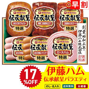 17OFF Ε Ε  ~Mtg AΕ Mtg v[g  Mtg 2025 ɓn `oGeBMtg uDO-590v  Hi n ɓn uhn I Xg 