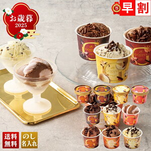 Ε Ε  ~Mtg AΕ Mtg v[g  Mtg 2025 uSfBovACXRNV uGCS-501v XC[c ACX ACXN[ X SfBo ~N`R `