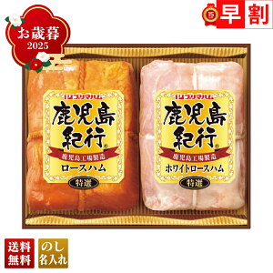 Ε Ε  ~Mtg AΕ Mtg v[g  Mtg 2025 v}n IsMtg uH-380Sv  Hi n v}n uhn I [Xn zCg