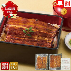 お歳暮 御歳暮 早割 冬ギフト 帰歳暮 ギフト プレゼント 送料無料 ギフト 2025 「神田明神下 喜川」浜名湖産 手焼きうなぎ蒲焼 「HT2-KK」 グルメ 海鮮 うなぎ ウナギ 鰻 蒲焼 神田明神下 喜川