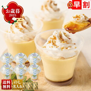 Ε Ε  ~Mtg AΕ Mtg v[g  Mtg 2025 JAӂ xǖȂ߂炩Ղ uJAF-P6v XC[c mَq v Ղ JAӂ