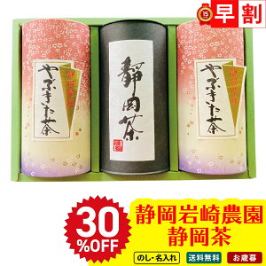 30OFF Ε Ε  ~Mtg AΕ Mtg v[g  Mtg 2025 É_ É uKR-50v ݕ hN  ÉYԂ É