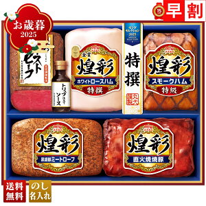 Ε Ε  ~Mtg AΕ Mtg v[g  Mtg 2025 ۑHi ʃ[Xgr[tMtg uMRT-575v  Hi n ۑHi uhn [Xgr[t 