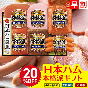 20OFF Ε Ε  ~Mtg AΕ Mtg v[g  Mtg 2025 {n {ihMtg uNH-506v  Hi n {n uhn [Xn X[Nn {