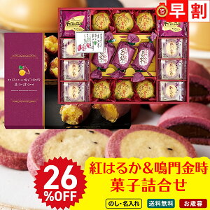 26OFF Ε Ε  ~Mtg AΕ Mtg v[g  Mtg 2025 g͂邩َqluOIM-30Rvَq XC[c mَq Ăَq َq lߍ킹