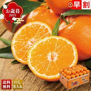 お歳暮 御歳暮 早割 冬ギフト 帰歳暮 ギフト プレゼント 送料無料 ギフト 2025 和歌山県産 有田みかん 「Q13-3A」 フルーツ 果物 みかん ミカン 蜜柑 和歌山県産 有田みかん