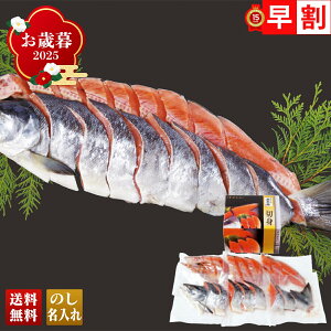 Ε Ε  ~Mtg AΕ Mtg v[g  Mtg 2025 kCY Vp uQ3-5Wv CN V[t[h N  kCY Vp H 6 1.4kg