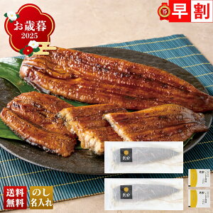 Ε Ε  ~Mtg AΕ Mtg v[g  Mtg 2025 Vy Ȃ uQN2250v O CN Ȃ EiM V  Vy