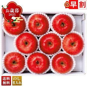 Ε Ε  ~Mtg AΕ Mtg v[g  Mtg 2025 Tӂ uR12-1Av t[c ʕ  S Tӂ