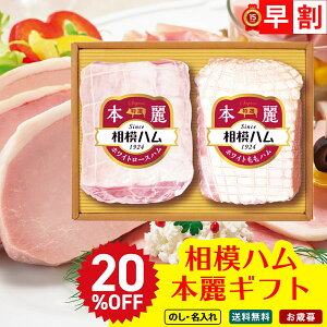 20OFF Ε Ε  ~Mtg AΕ Mtg v[g  Mtg 2025 ̓n {Mtg uSR-503v  Hi n ̓n I zCg[Xn IzCgn