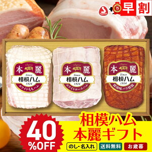 40OFF Ε Ε  ~Mtg AΕ Mtg v[g  Mtg 2025  ̓n {MtguSR-620vHi n ̓n {oGeB n [Xn oē