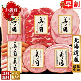 お歳暮 御歳暮 早割 冬ギフト 帰歳暮 ギフト プレゼント 送料無料 ギフト 2025 日本ハム 北海道 プレミアム 美ノ国 「UKH-38」 肉 肉加工品 ハム 日本ハム ブランドハム 北海道産 ロースハム ベーコン 生ハム ウインナー