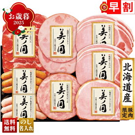 お歳暮 御歳暮 早割 冬ギフト 帰歳暮 ギフト プレゼント 送料無料 ギフト 2025 日本ハム 北海道 プレミアム 美ノ国 「UKH-48」 肉 肉加工品 ハム 日本ハム ブランドハム 北海道産 ロースハム ステーキ ロース生ハム ウインナー
