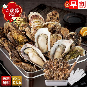 Ε Ε  ~Mtg AΕ Mtg v[g  Mtg 2025 ʃJĂ uW1-3v O CN V[t[h  ʃJĂ y 1.5kg 12`20