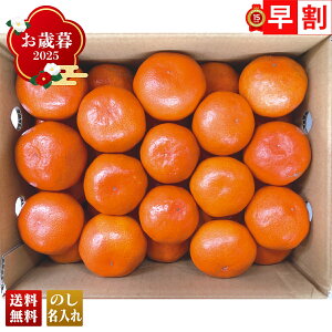 Ε Ε  ~Mtg AΕ Mtg v[g  Mtg 2025 쌧Y g݂ uW13-9Bv t[c ʕ ݂ ~J  쌧Y