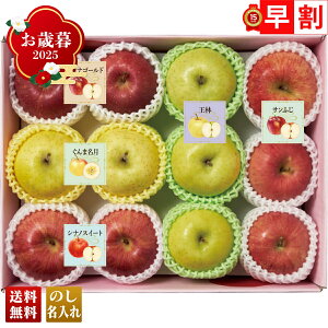 Ε Ε  ~Mtg AΕ Mtg v[g  Mtg 2025 5Hה uY12-3Bv t[c ʕ  S Hה