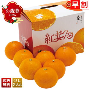 Ε Ε  ~Mtg AΕ Mtg v[g  Mtg 2025 QY g܂ǂ uY13-4v t[c ʕ ݂ ~J  QY g܂ǂ lC i 蕨 