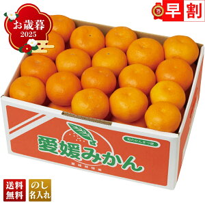 Ε Ε  ~Mtg AΕ Mtg v[g  Mtg 2025 Q݂ uY13-6Bv t[c ʕ ݂ ~J  Q݂