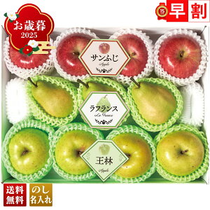 Ε Ε  ~Mtg AΕ Mtg v[g  Mtg 2025 ~̉ʎ3l uY14-16Av t[c ʕ 3 ʎ l