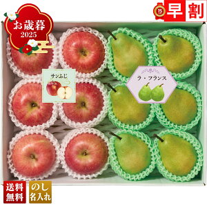 Ε Ε  ~Mtg AΕ Mtg v[g  Mtg 2025 R_ R`Y 񂲁tXl uY14-23Bv t[c ʕ  S R_ R`Y t