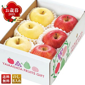 Ε Ε  ~Mtg AΕ Mtg v[g  Mtg 2025 R`Y TӂƂ͂邩Hה uA12-5v t[c ʕ  S R`Y Tӂ Hה