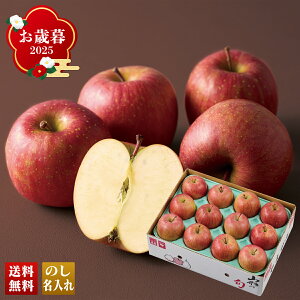 Ε Ε ~Mtg AΕ Mtg v[g  Mtg 2025 R`Y Tӂ uB12-2v t[c ʕ  S R`Y Tӂ lC i 蕨 A ̂ 