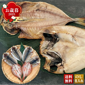 Ε Ε ~Mtg AΕ Mtg v[g  Mtg 2025 Y VR̂ǂƐ^̊J uB4-9v CN V[t[h  Y VR̂ǂ ^̊J ̂ 