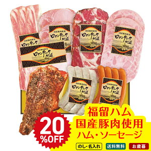 20OFF Ε Ε  ~Mtg AΕ Mtg v[g  Mtg 2025 n YؓgpnE\[Z[WZbg uB9-2v  Hi n n nx[R n