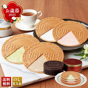 Ε Ε  ~Mtg AΕ Mtg v[g  Mtg 2025 u_˕vS[tfIO[e uD20v XC[c mَq ĉَq X _˕ S[t S[tIO[