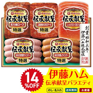 14OFF Ε Ε  ~Mtg AΕ Mtg v[g  Mtg 2025 ɓn `oGeBMtg uDO-390v  Hi n ɓn uhn I tă[