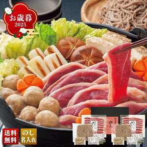 Ε Ε ~Mtg AΕ Mtg v[g  Mtg 2025 suv uKF-INW12v O  Ȃ  s   4lO yO12/12 ߑO܂őIz