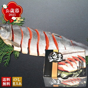 Ε Ε ~Mtg AΕ Mtg v[g  Mtg 2025 mY Vg uP3-11Tv CN V[t[h N mY g kCIz[cNY H Vp V g؂