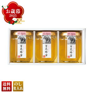 Ε Ε  ~Mtg AΕ Mtg v[g  Mtg 2025 ߓ{I YSԖIMtg uP45-2v ݕ I ݂͂ n`~c 啪 ߓ{I YSԖI