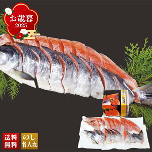 Ε Ε  ~Mtg AΕ Mtg v[g  Mtg 2025 kCY Vp uQ3-5Wv CN V[t[h N  kCY Vp H 6 1.4kg