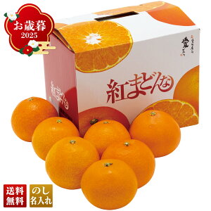Ε Ε  ~Mtg AΕ Mtg v[g  Mtg 2025 QY g܂ǂ uY13-4v t[c ʕ ݂ ~J  QY g܂ǂ lC i 蕨 
