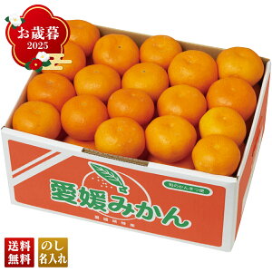 Ε Ε  ~Mtg AΕ Mtg v[g  Mtg 2025 Q݂ uY13-6Bv t[c ʕ ݂ ~J  Q݂