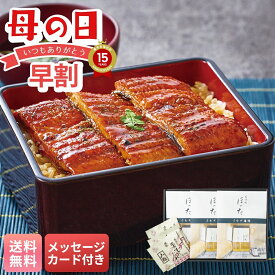 母の日 早割 ギフト プレゼント 贈り物 2026 送料無料 清水五条 京料理「ほった」監修 うなぎ蒲焼 「A4-1B」 メッセージカード付 グルメ 海鮮 うなぎ 鰻 ウナギ 蒲焼き 京料理 ほった監修