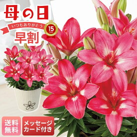 母の日 早割 ギフト プレゼント 贈り物 2026 送料無料 ユリ（ロザリン） 「MS37-10」 メッセージカード付 フラワー 花ギフト 花鉢 5.5号鉢 ユリ ゆり 百合 ロザリン ピンク バスケット お手入れのしおり つぼみでお届け