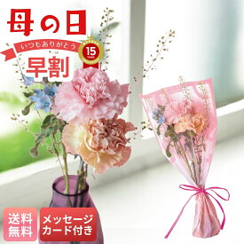 母の日 早割 ギフト プレゼント 贈り物 2026 送料無料 ナチュラルミニブーケ 「T-1」 メッセージカード付 フラワー 花ギフト 生花 カーネーション ピンク ブルースター タラスピ お手入れのしおり ミニブーケ