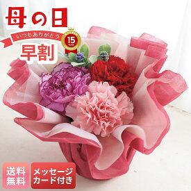 母の日 早割 ギフト プレゼント 贈り物 2026 送料無料 アレンジメント（ふわふわアレンジ） 「T-3」 メッセージカード付 フラワー 花ギフト 生花 カーネーション アレンジメント プラポット お手入れのしおり ラッピング