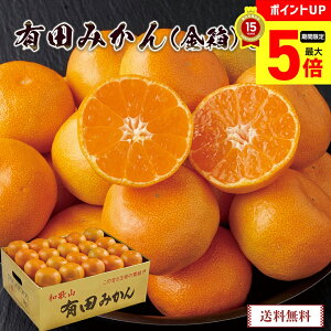 y12/1܂ōő|Cg5{z NNn  2026 O  Lc݂ij3kguAM-3Gv ʕ t[c ݂ ~J Lc݂ a̎R osechi yʌz