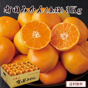 NNn  2026 O  Lc݂ij3kguAM-3Gv ʕ t[c ݂ ~J Lc݂ a̎R osechi yʌz