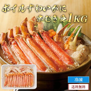 NNn  2026 O  {C킢ɔނg1kguW1-5v CN V[t[h {C 킢I ނg Ⓚ osechi yʌz