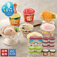 お中元 早割 御中元 夏ギフト ギフト プレゼント 2026 送料無料 「ハーゲンダッツ」＆アイスアソートギフ…